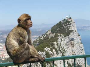 QROPS, It’s all go for Gibraltar after three years