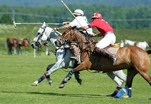 Is Polo Really The Way To Promote British Business?