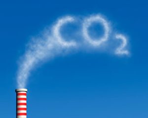 Carbon Credit Crooks Out To Grab Cash From Investors