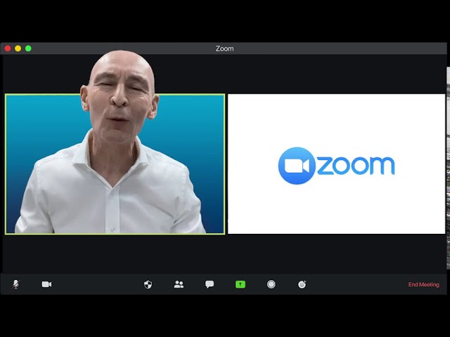 Zoom Shares